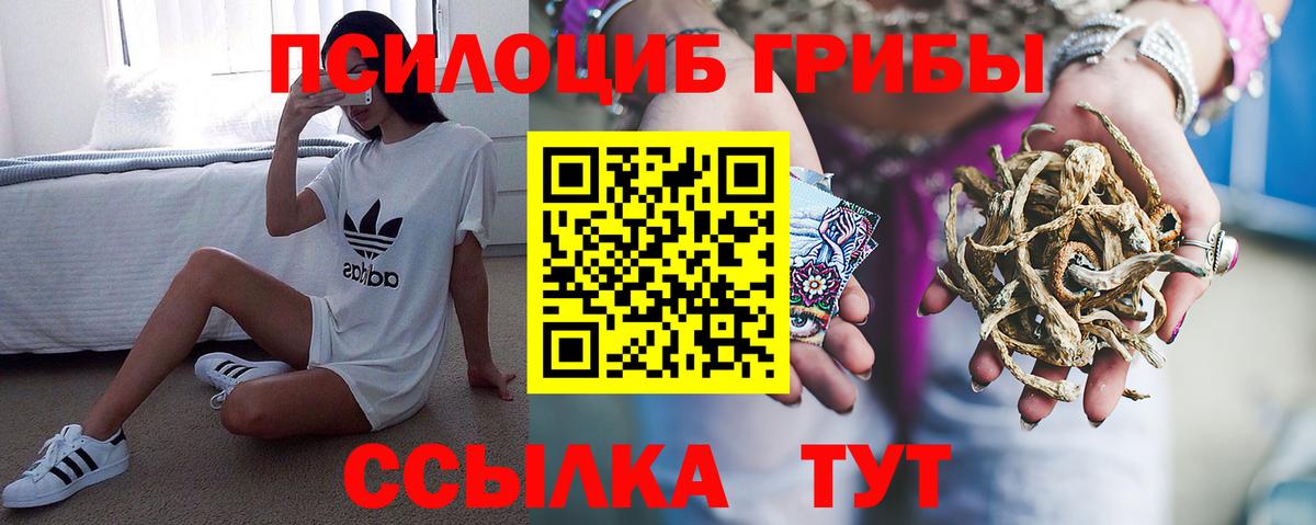 Галлюциногенные грибы Magic Shrooms  Галлюциногенные грибы GOLDEN TEACHER  Ступино  Вход с VPN 